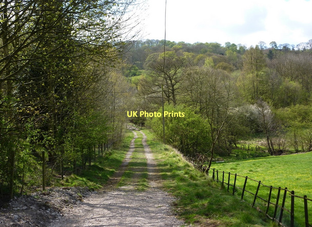 Photo 6"x4" Track near Warrencarr Farm Churchtown\/SK2662 c2011