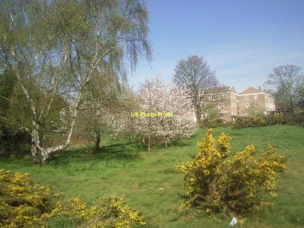 Photo 6"x4" Vanbrugh Pits, Blackheath Greenwich\/TQ3977 c2011