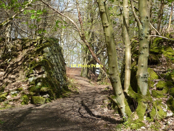 Photo 6"x4" Woodland path near Lees Cross quarries Stanton Lees c2011