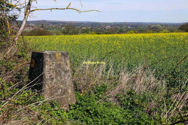 Photo 6"x4" Trig point on Down Hill Didcot c2011