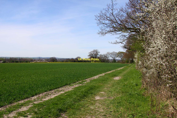 Photo 6"x4" Bridleway on Down Hill Didcot c2011