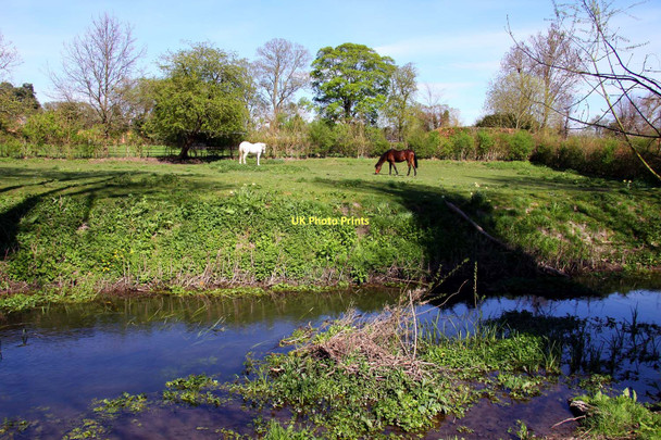 Photo 6"x4" Mill Brook in South Moreton Aston Upthorpe c2011