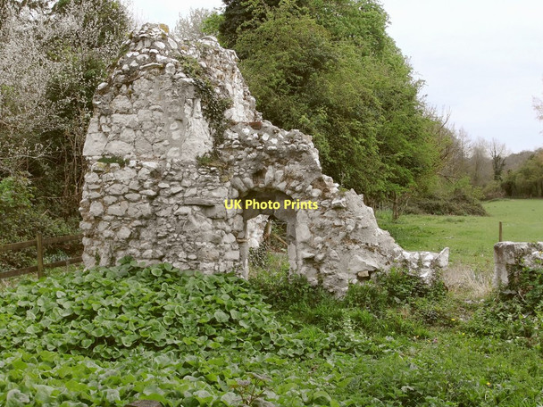 Photo 6"x4" The ruins of Ankerwycke Priory, near Wraysbury Egham c2011