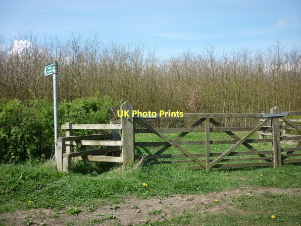 Photo 6"x4" A footpath off Slice Lane Oxton Tadcaster c2011