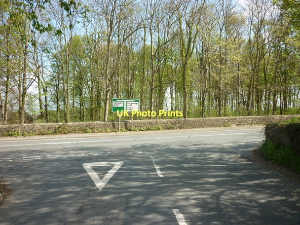 Photo 6"x4" Looking across to Limekiln Wood off the A162 Tadcaster c2011