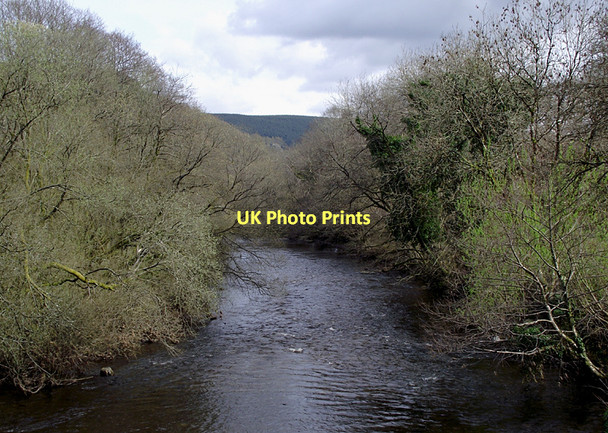 Photo 6"x4" Afon Tywi north-west of Rhandirmwyn Nant-y-Bai c2011 P1