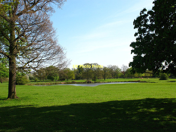 Photo 6"x4" Pond in Osterley Park Southall c2011