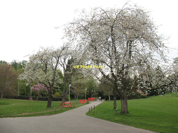 Photo 6"x4" Avery Hill Park (5): Path with spring blossom Eltham c2011