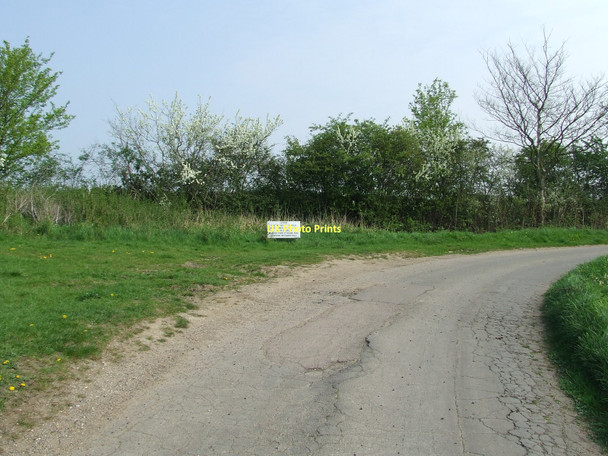 Photo 6"x4" No Littering Sign Winston\/TM1861 c2011