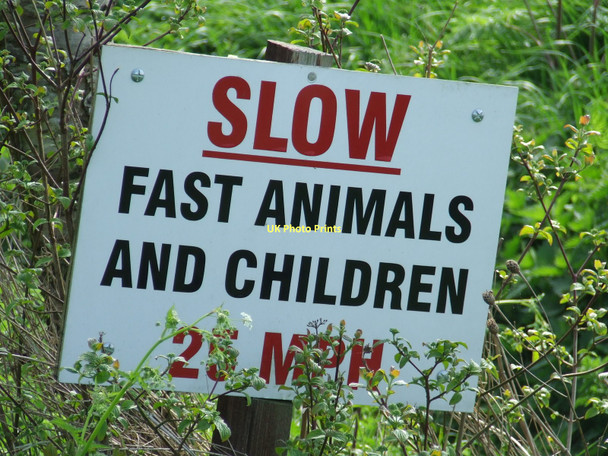 Photo 6"x4" Fast Children Winston\/TM1861 c2011