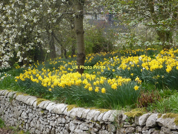 Photo 6"x4" Springtime scene in Parwich Parwich c2011
