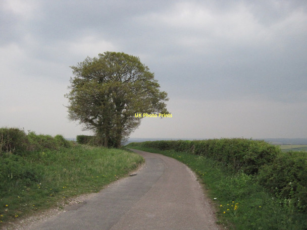 Photo 6"x4" Rodfield Lane Lane End\/SU5525 c2011