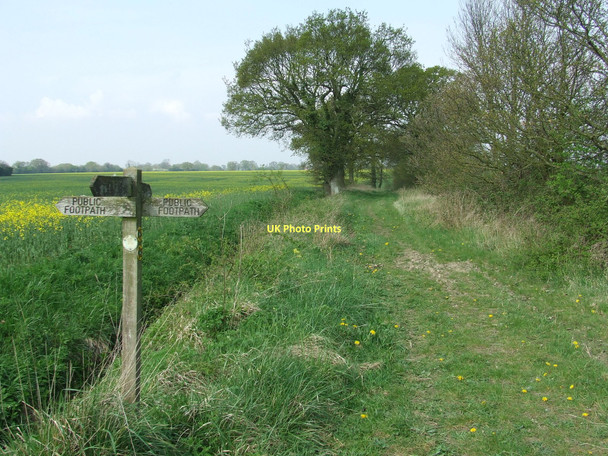 Photo 6"x4" Waddlegoose Lane Ashfield\/TM2062 c2011