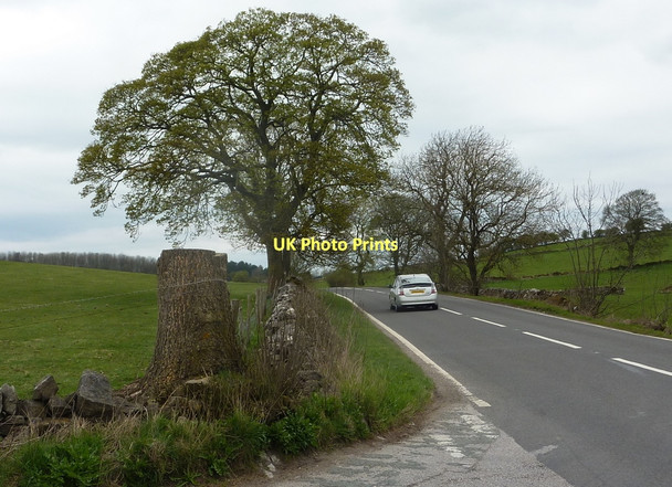 Photo 6"x4" A5012 west of the Moor Lane junction Aldwark\/SK2257 c2011