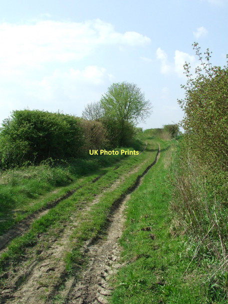 Photo 6"x4" Waddlegoose Lane Kenton\/TM1965 c2011