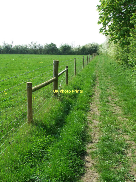 Photo 6"x4" Footpath And Fence Debenham c2011