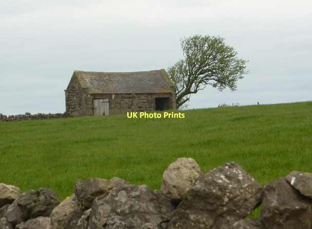 Photo 6"x4" Barn and tree by Blake Low Elton\/SK2260 c2011