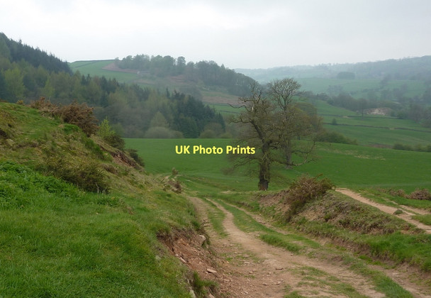 Photo 6"x4" Footpath to Youlgreave Bradford\/SK2164 c2011