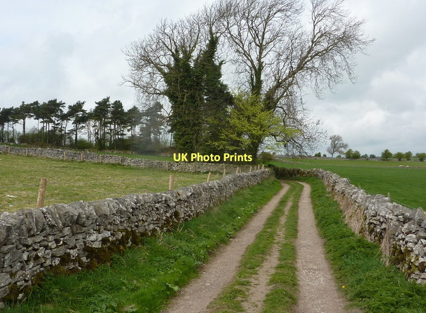 Photo 6"x4" Hillside track above Youlgreave Bradford\/SK2164 c2011