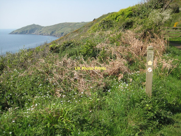 Photo 6"x4" Coast path west of Penlee Point Rame\/SX4249 c2011