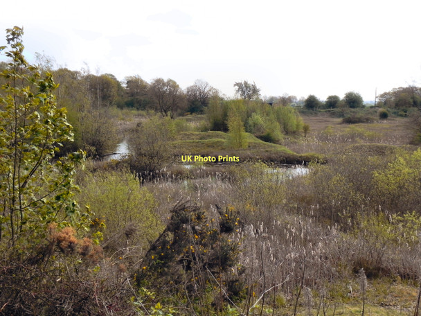 Photo 6"x4" Rixton Claypits Nature Reserve Rixton c2011