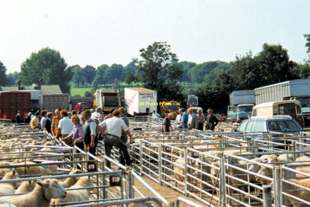 Photo 6"x4" Ashford, Kent - 1985 Ashford\/TR0042 c1985