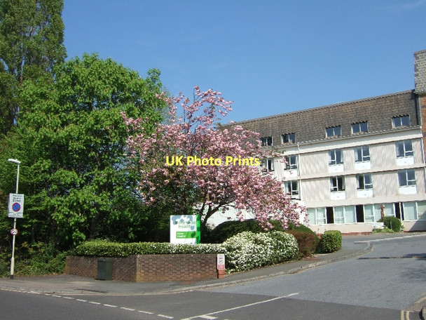 Photo 6"x4" Blossom outside Exeter Nuffield Hospital Exeter c2011