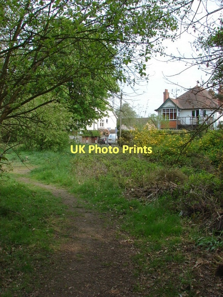 Photo 6"x4" Blackdown Hill training area Frimley c2011