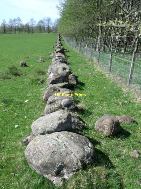Photo 6"x4" Barr Wood, boundary dyke Craigend\/NS7887 c2011