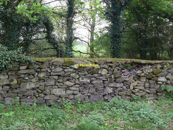 Photo 6"x4" Garendon Park boundary wall Thorpe Acre c2011