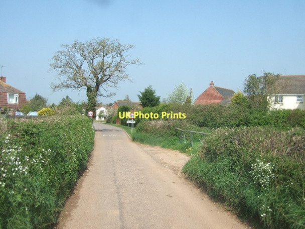 Photo 6"x4" The entrance to Rockbeare from the south-east Rockbeare c2011