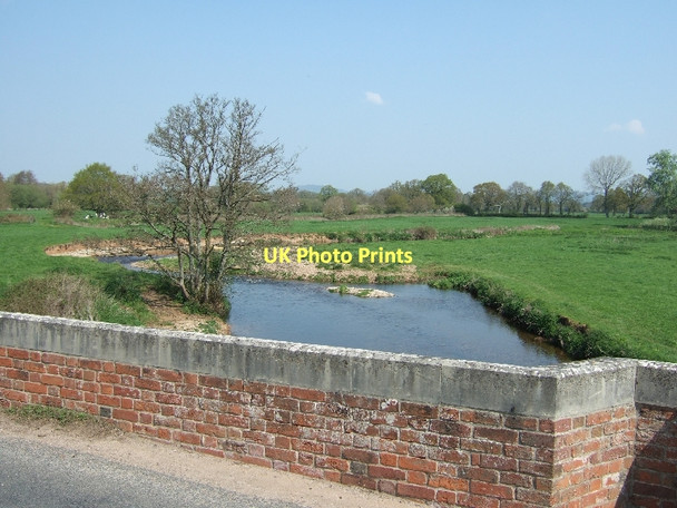 Photo 6"x4" River Otter from Cadhay Bridge Ottery St Mary c2011