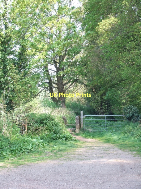 Photo 6"x4" Footpath leading north of Cadhay Bridge Farm Ottery St Mary c2011