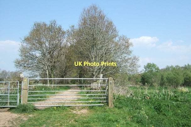 Photo 6"x4" Trackbed of former railway Ottery St Mary c2011