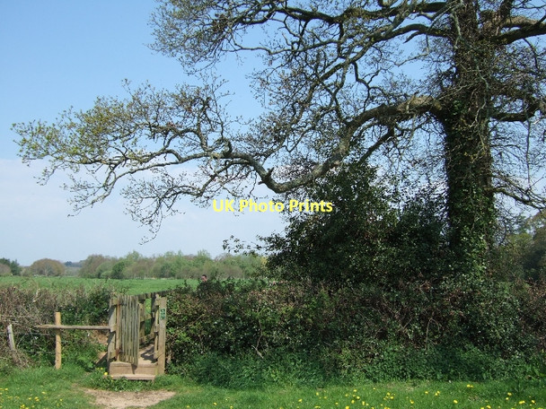 Photo 6"x4" Footbridge beside the River Otter Ottery St Mary c2011