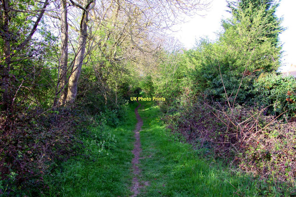 Photo 6"x4" Footpath to Horspath Blenheim\/SP5702 c2011