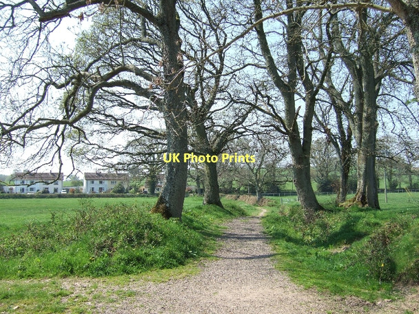 Photo 6"x4" Footpath through Tipton Vale Fluxton c2011