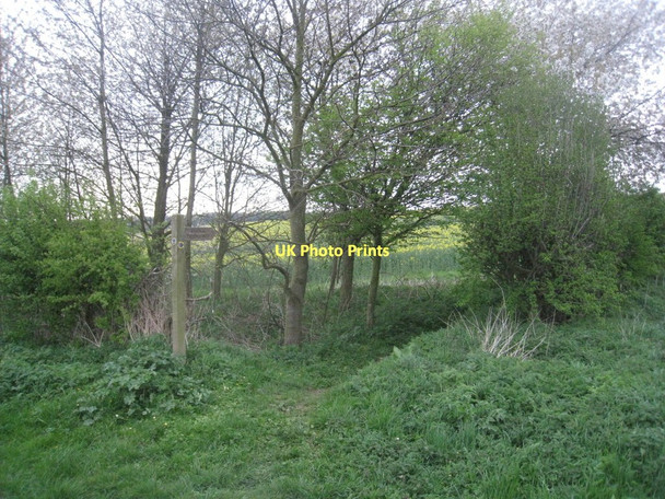 Photo 6"x4" The bridleway to East Ravendale Thorganby\/TF2097 c2011