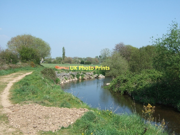 Photo 6"x4" River Otter and riverside path Fluxton c2011