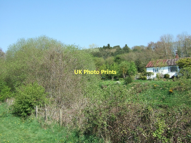 Photo 6"x4" Bungalow overlooking River Otter Harpford c2011
