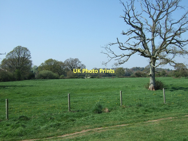 Photo 6"x4" Fields north of Harpford Harpford c2011