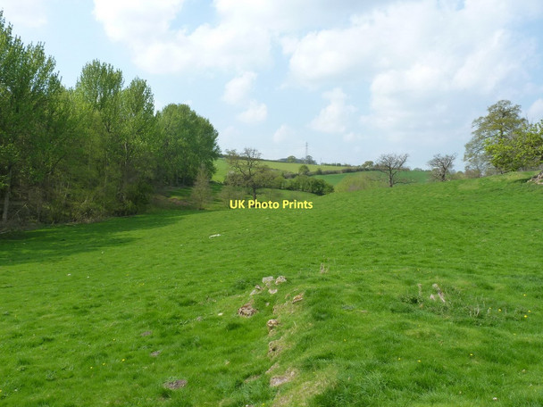 Photo 6"x4" In the Dean Brook valley Darley\/SO6899 c2011