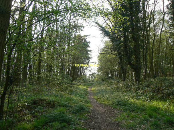Photo 6"x4" Central ride, Booth Wood Thorpe Acre c2011