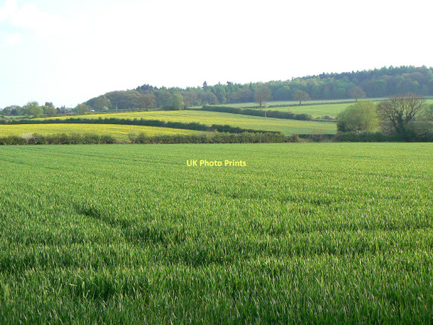 Photo 6"x4" Fields near Nanpantan Loughborough c2011