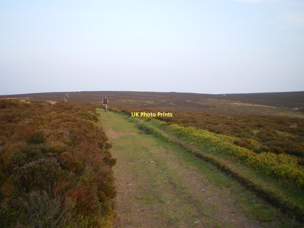 Photo 6"x4" Descending the western side of The Mynd Medlicott\/SO4094 c2011