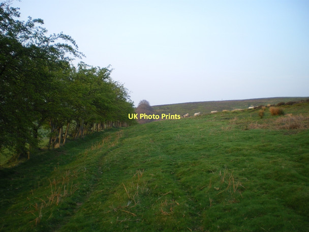 Photo 6"x4" Edge of the moorland above Belmore Farm Ratlinghope c2011