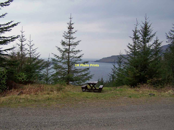 Photo 6"x4" Picnic bench, Glen Brittle Forest  Eynort c2011