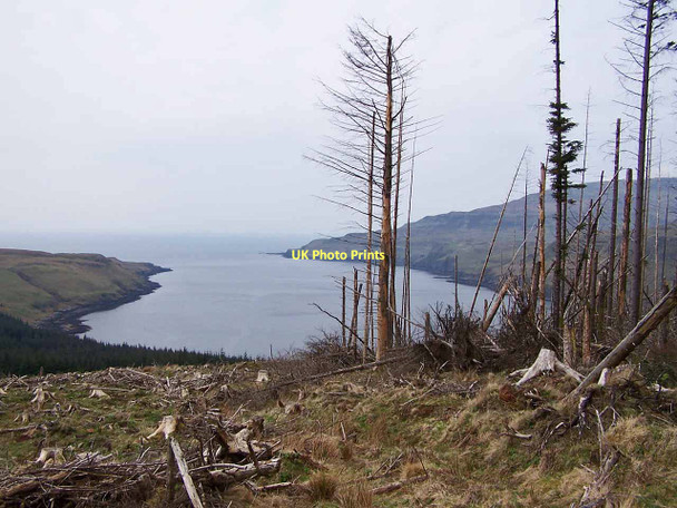 Photo 6"x4" Over the forest to Loch Eynort Eynort c2011