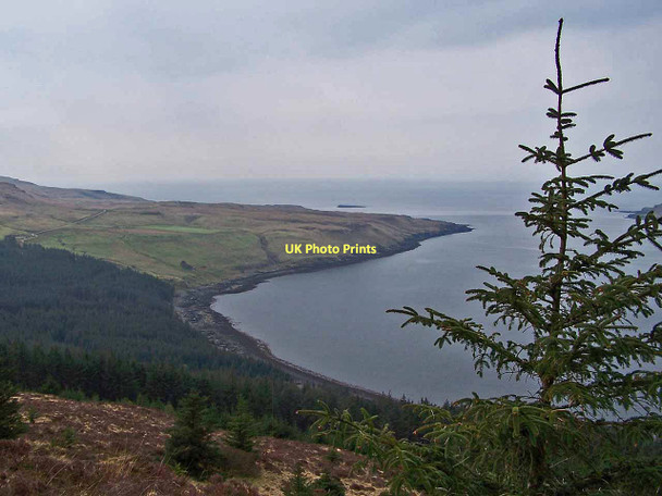 Photo 6"x4" Loch Eynort shore from the forest Eynort c2011