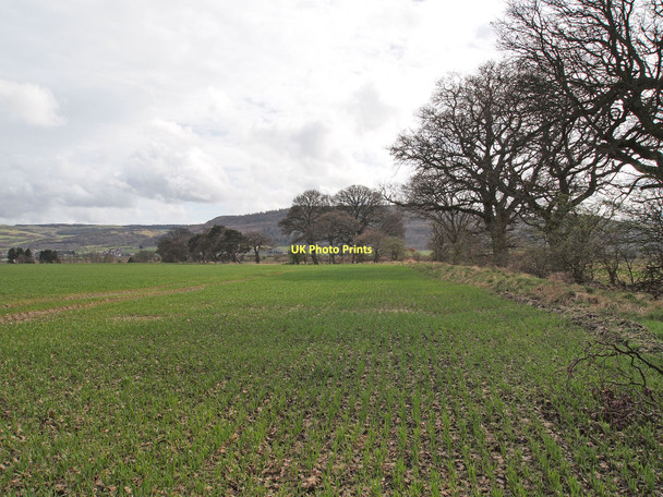 Photo 6"x4" Newly sown field, south of Culfargie Aberargie c2011